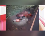 Cavalo solto em rodovia causa acidente com moto no PR; animal morreu